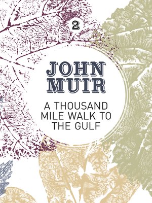 A Thousand-Mile Walk to the Gulf - ebook
